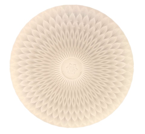 Plafon sufitowy natynkowy LED lampa sufitowa 60W 3 Barwy